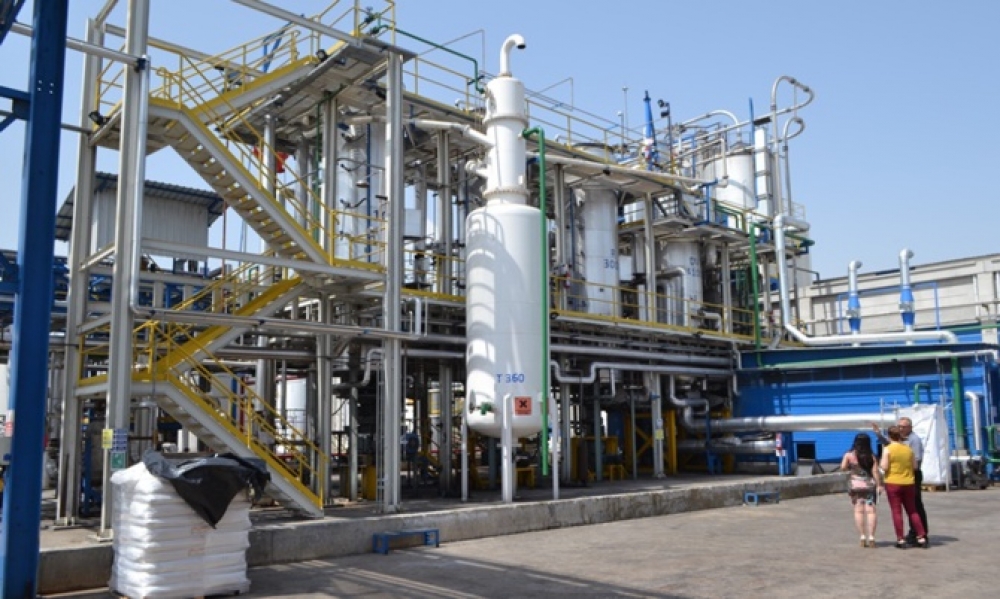 The plant moved from Croatia started exporting. The plant moved from Croatia started exporting. 6 0